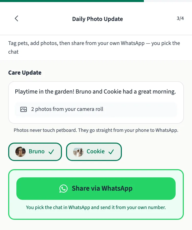 A photo update screen on a phone: a short note about playtime, 2 photos, the dogs Bruno and Cookie tagged, and a Share via WhatsApp button